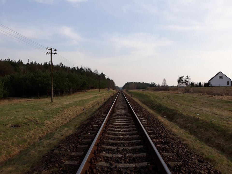 PLK zmienia projekt cennika na RJ2018/2019!