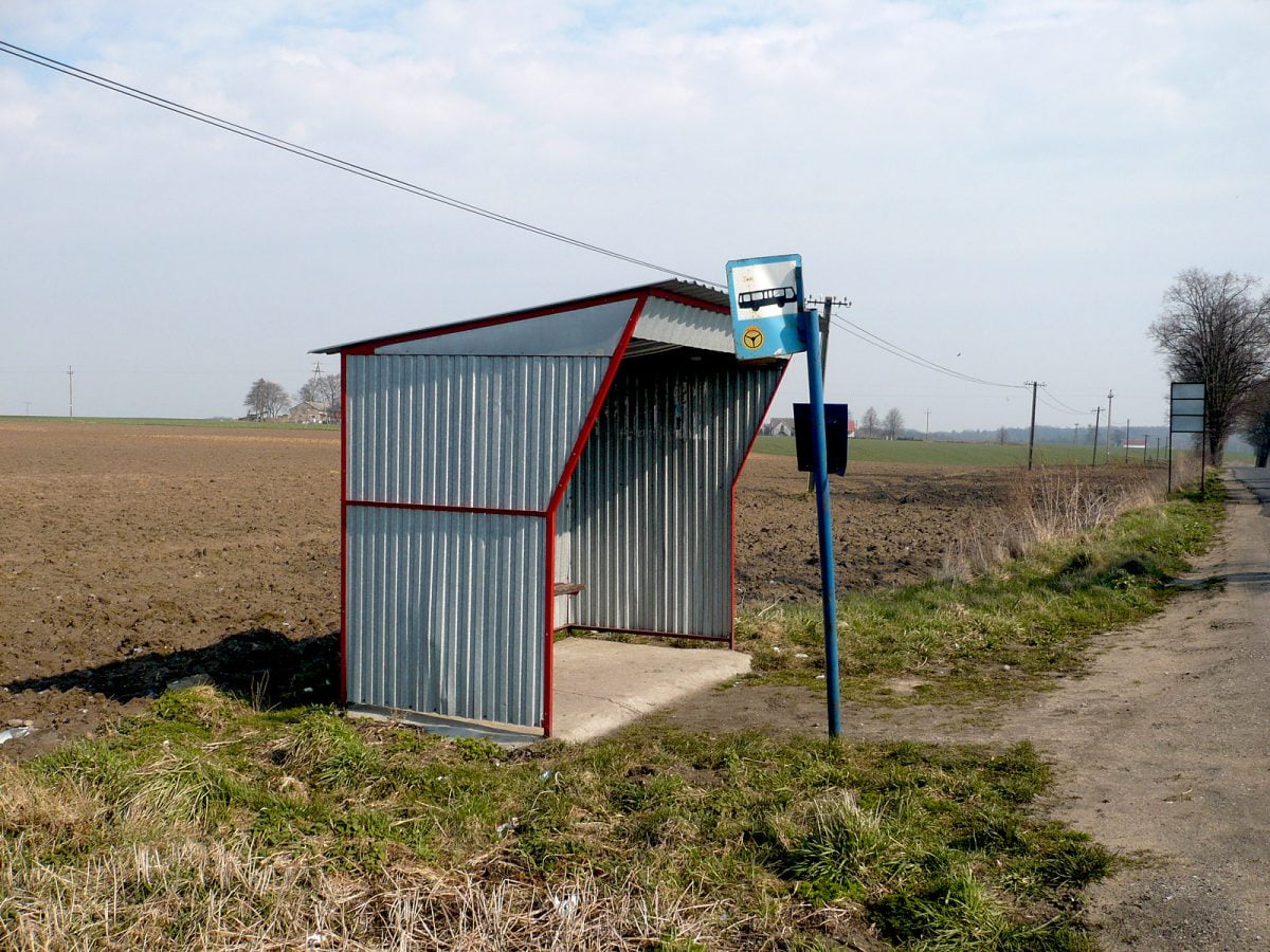 Newsweek: Polacy chcą więcej PKS-ów i pociągów